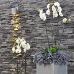 Raumdekoration - Orchidee im Metallständer - Federn - Biancas Blumenstil - Rhön
