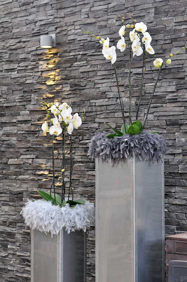 Raumdekoration - Orchidee im Metallständer - Federn - Biancas Blumenstil - Rhön