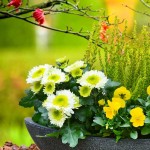 Herbstliche Blumen geschmackvoll arrangiert