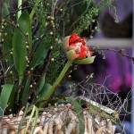 Herbstgesteck - Dekoration mit Rosen und Stroh