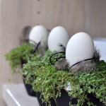 Dekorative Blumentöpfe mit Immergün und weißen Eiern dekoriert